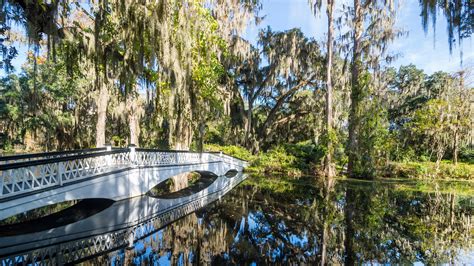 The Top 5 Best Plantations to Visit near Charleston, SC 1. . Best time to visit magnolia plantation